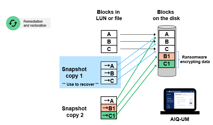 Ransomware protection