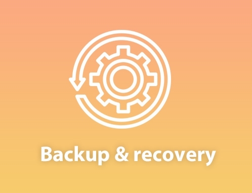 NetApp Backup & recovery
