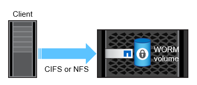 Compliance & Security